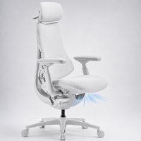 5-Position Reclining Ergonomic Cooling Chair